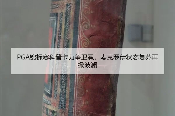 jin-biao-sai-ke-pu-ka-li-zheng-wei-mian-mai-ke-luo-yi-zhuang-tai-fu-su-zai-xian-bo-lan-2-595.jpg
